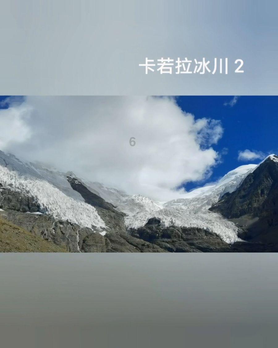 动物帮帮忙保卫家园