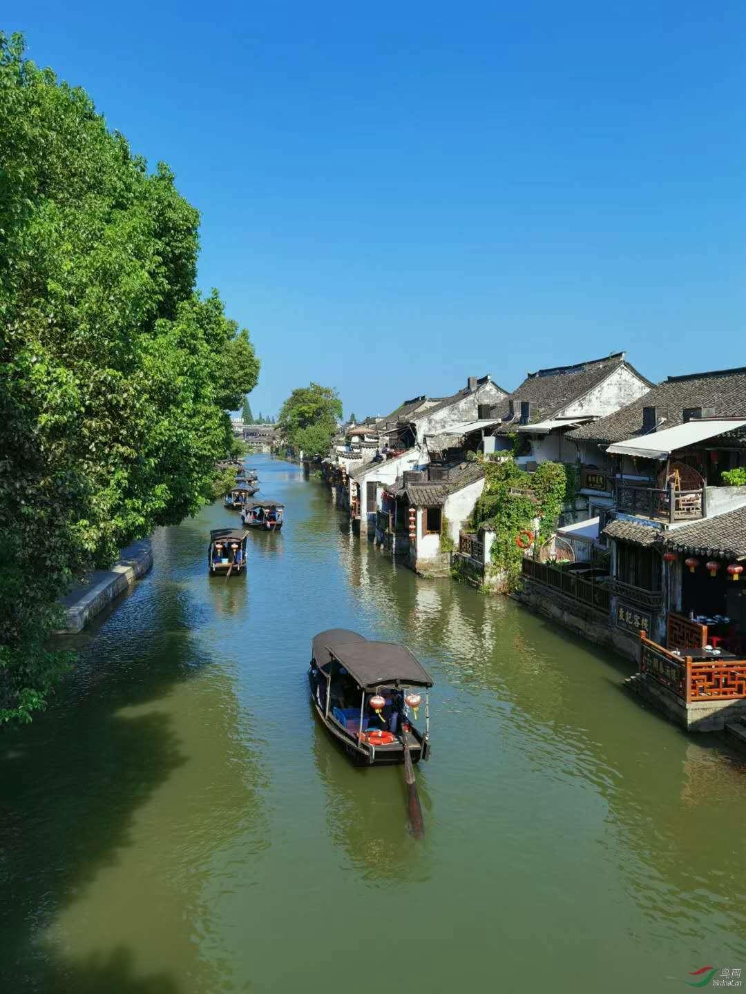 尽在爱一个人要勇敢去追吗?,专注58问答交流平台